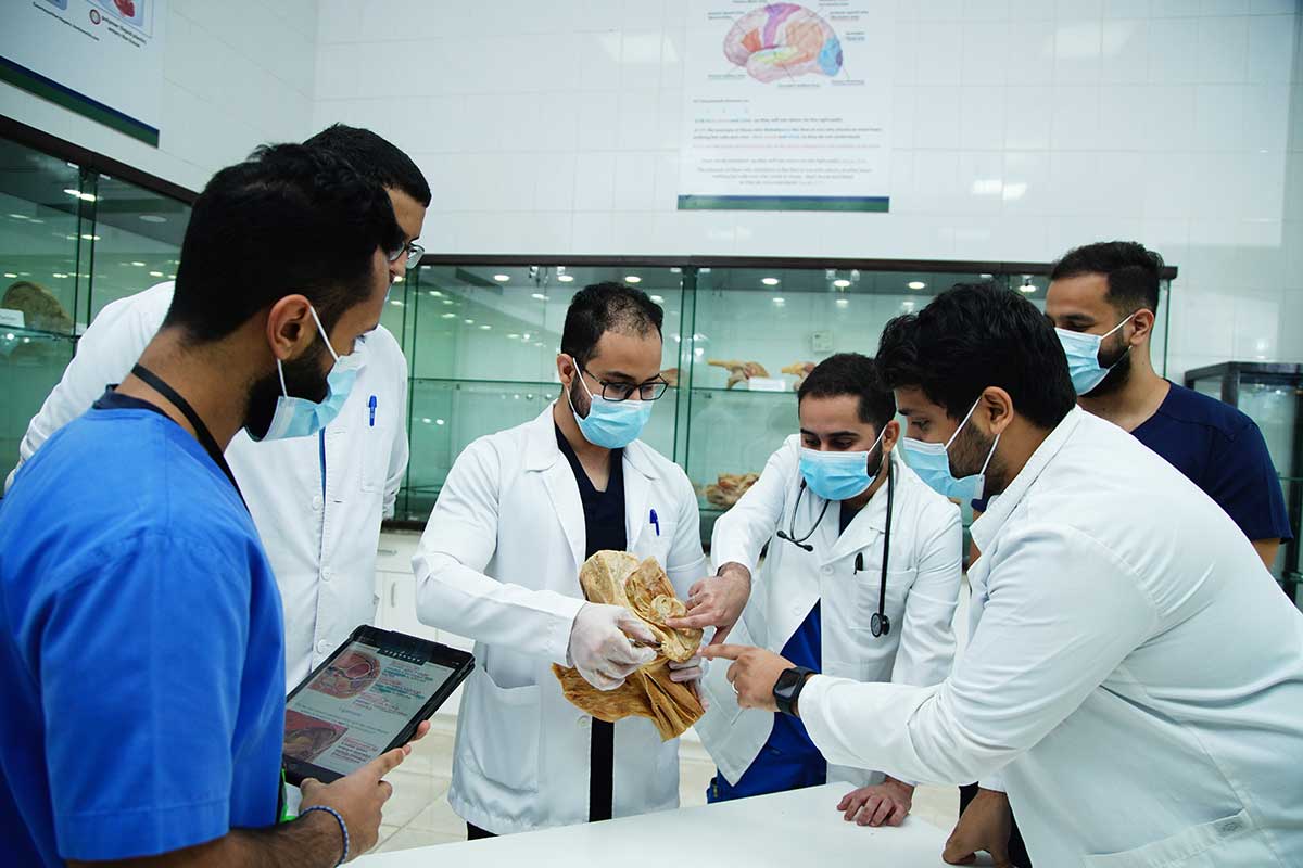 About Ibn Sina National College For Medical Studies.